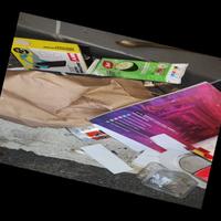 Dataset Image