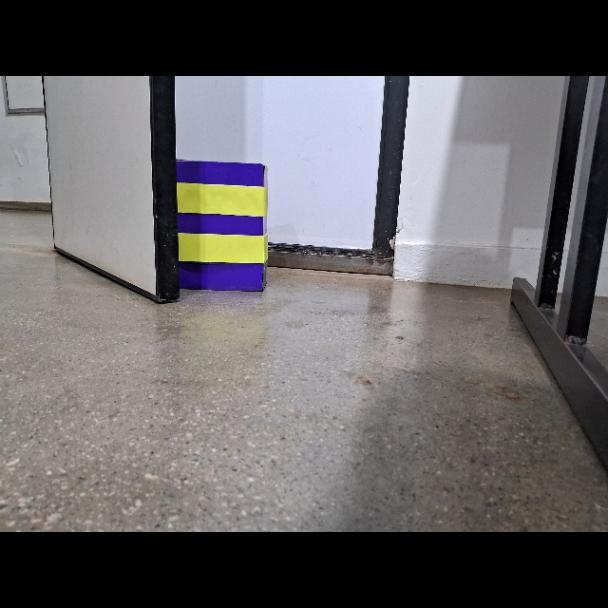 Dataset Image