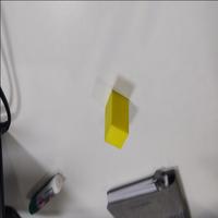 Dataset Image