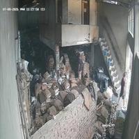 Dataset Image