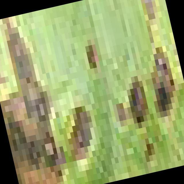 Dataset Image