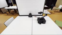 Dataset Image
