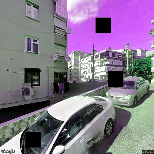 Dataset Image