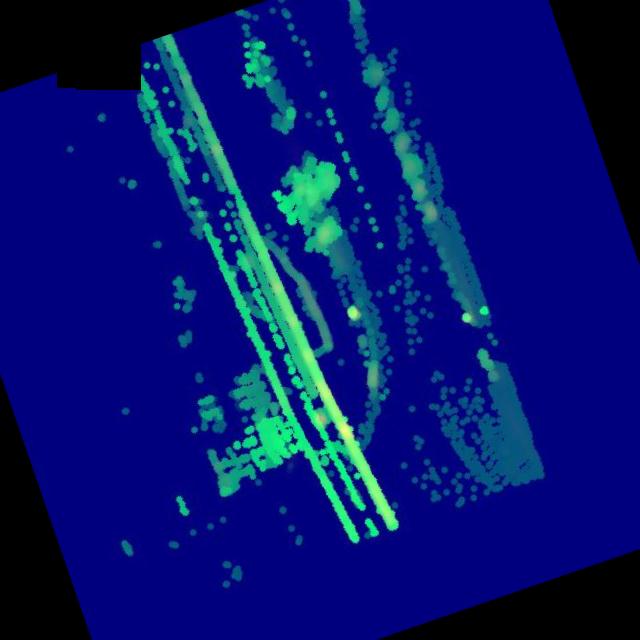 Dataset Image