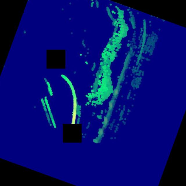 Dataset Image