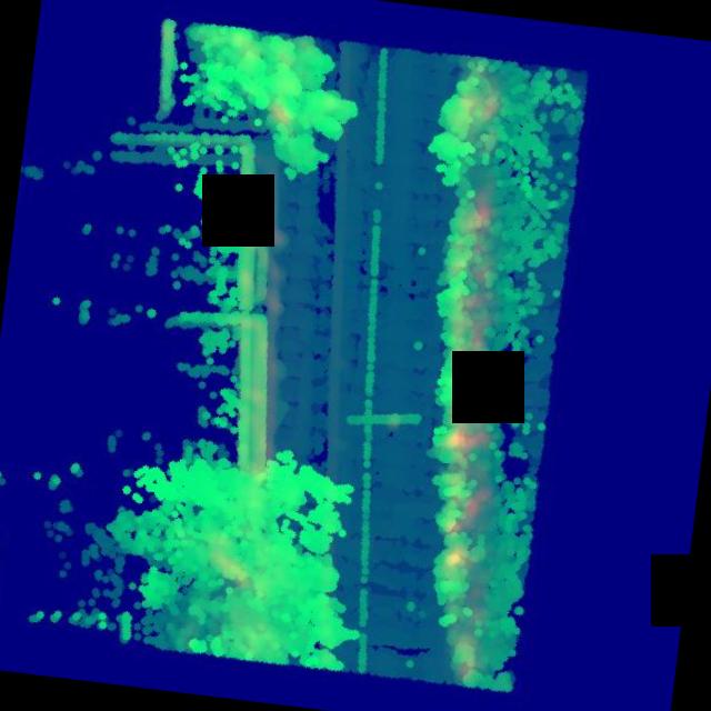 Dataset Image