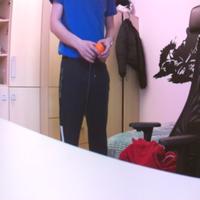 Dataset Image