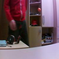 Dataset Image