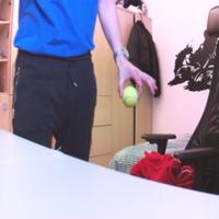 Dataset Image