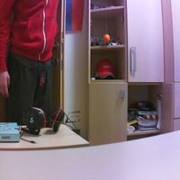 Dataset Image