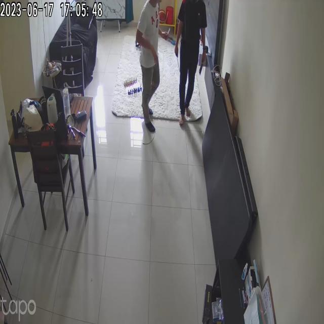 Dataset Image
