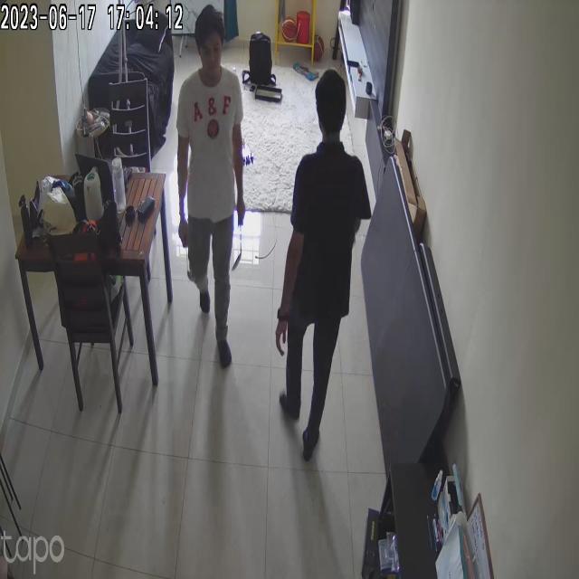 Dataset Image