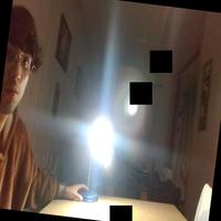 Dataset Image