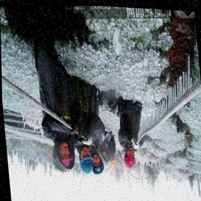Dataset Image
