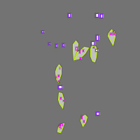 Annotation Visualization