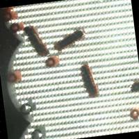 Dataset Image