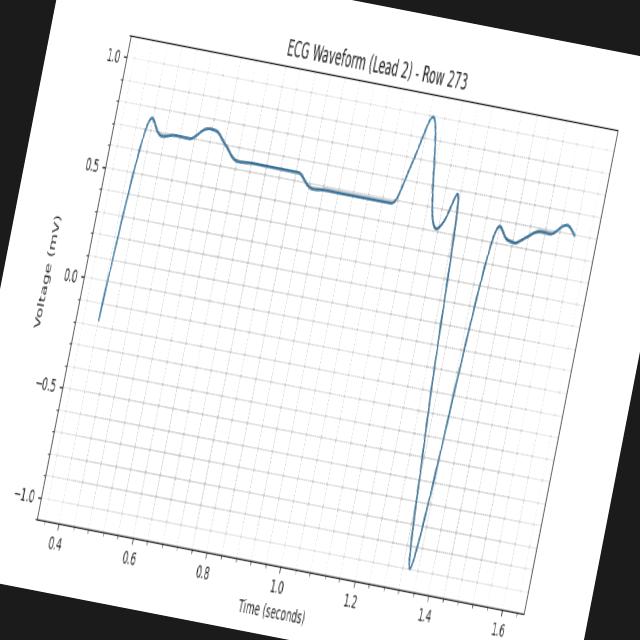 Dataset Image