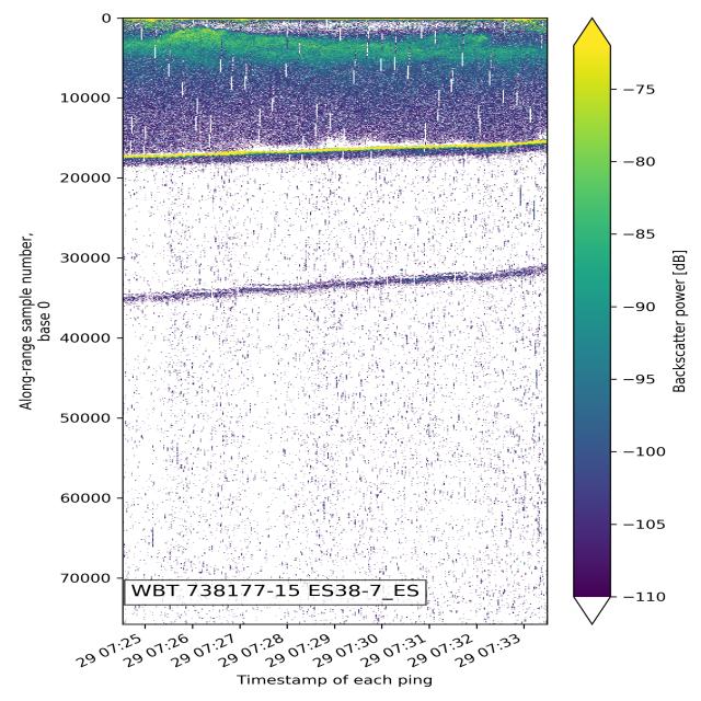 Dataset Image