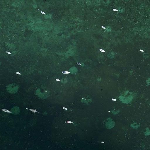 Dataset Image