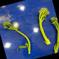 Dataset Image