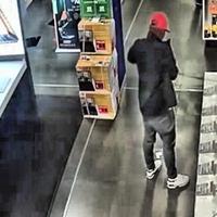 Dataset Image