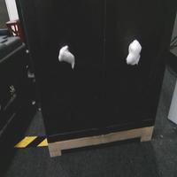 Dataset Image