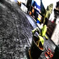 Dataset Image
