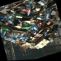 Dataset Image