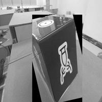 Dataset Image