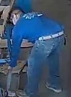 Dataset Image