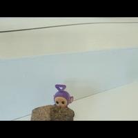 Dataset Image