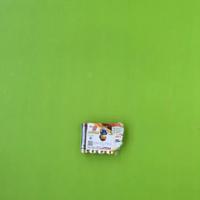 Dataset Image