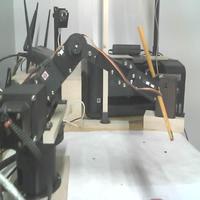 Dataset Image
