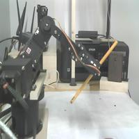 Dataset Image