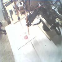 Dataset Image