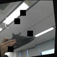 Dataset Image