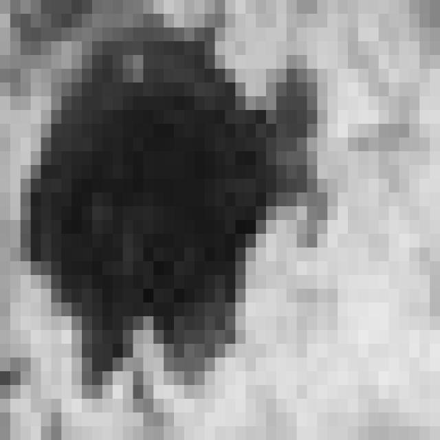 Dataset Image