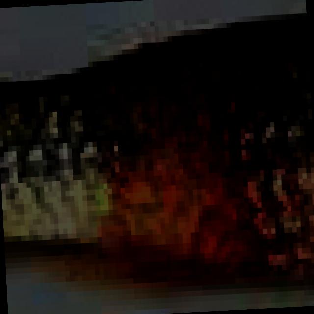 Dataset Image