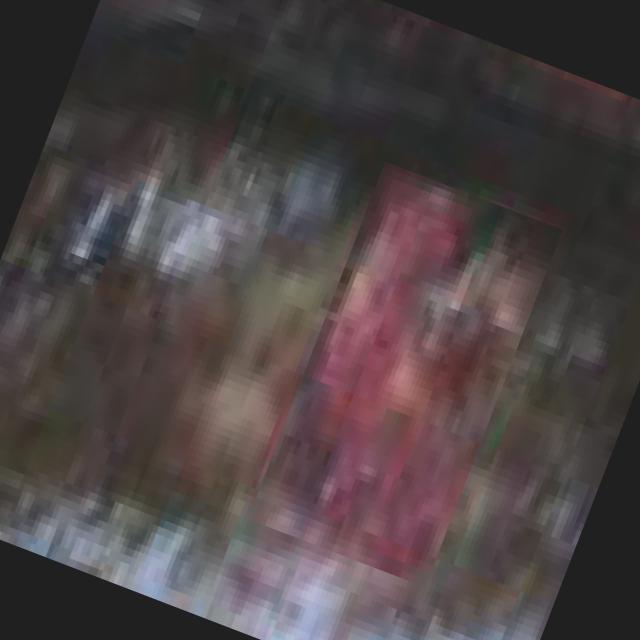 Dataset Image