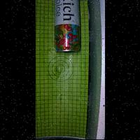 Dataset Image