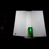 Dataset Image