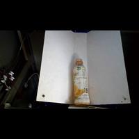 Dataset Image