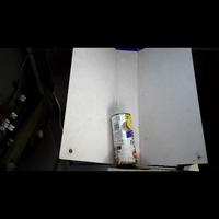 Dataset Image