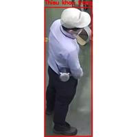 Dataset Image