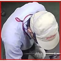 Dataset Image