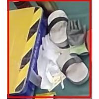 Dataset Image