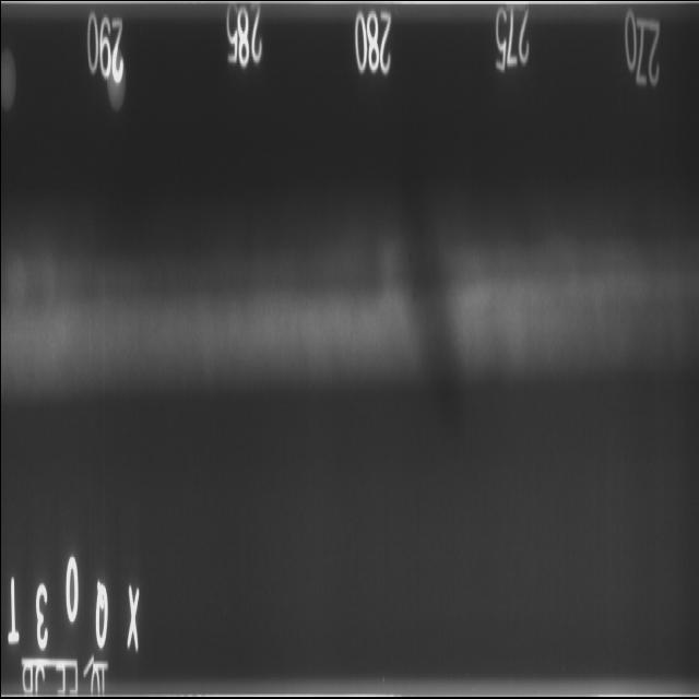 x-ray-weld-detect Object Detection Model (v1, 2024-10-14 9:17am) by test