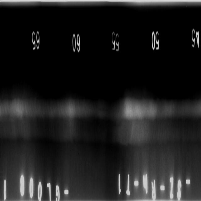 x-ray-weld-detect Object Detection Model (v1, 2024-10-14 9:17am) by test