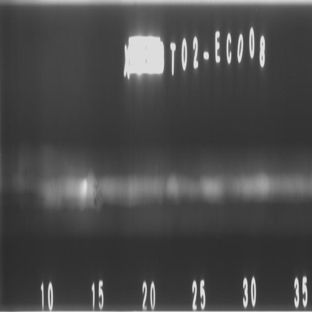x-ray-weld-detect Object Detection Model (v1, 2024-10-14 9:17am) by test