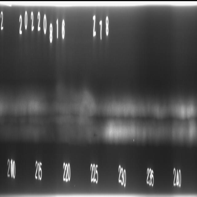 x-ray-weld-detect Object Detection Model (v1, 2024-10-14 9:17am) by test